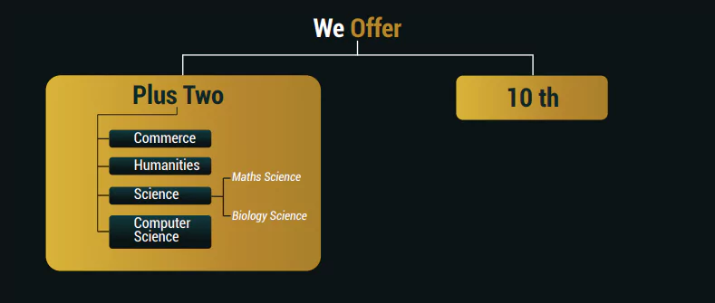 NIOS course structure at edutalim